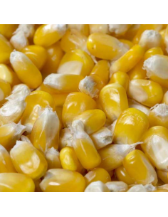 Mais Entier 20Kg Pet  et  Garden