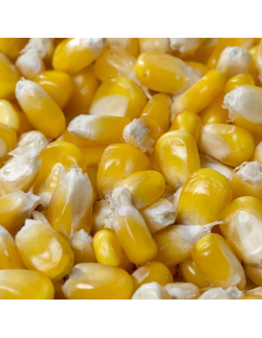 Mais Entier 20Kg Pet  et  Garden