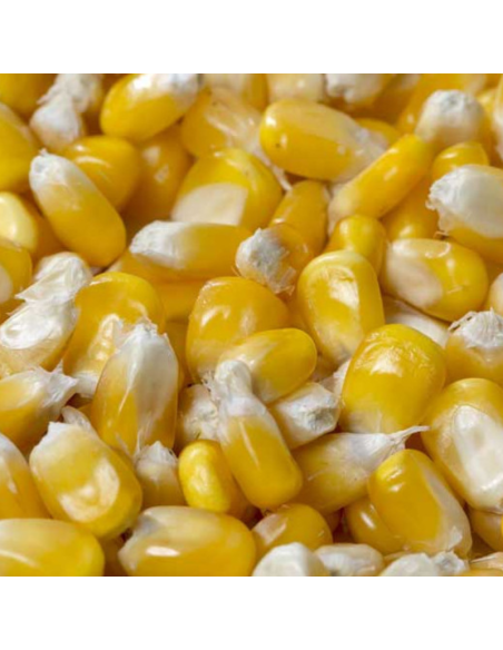 Mais Entier 20Kg Pet  et  Garden
