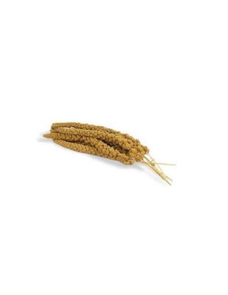 Millet Grappe Jaune 1kg