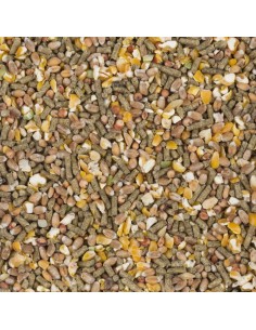 Mix Ponte Granulés Maïs Concassé 20Kg