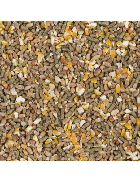 Mix Ponte Granulés Maïs Concassé 20Kg