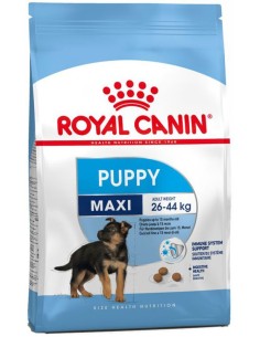 Chiots Maxi - 15Kg - Royal Canin - Croquettes pour chiots