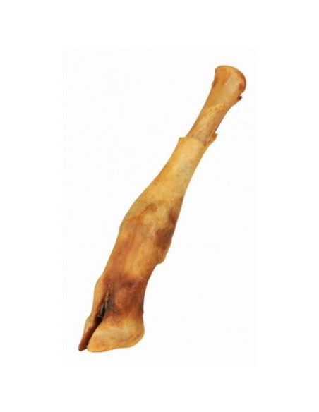 Pied d'agneau, friandise naturelle pour chiens - 16 à 18cm