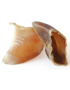 Sabot de veau - friandise 100% naturelle pour chiens et chiots