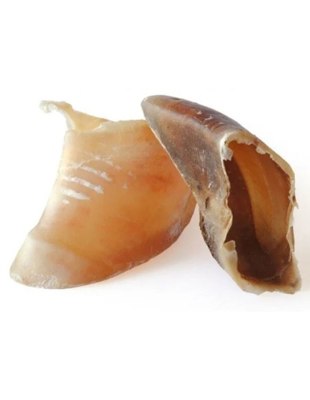 Sabot de veau - friandise 100% naturelle pour chiens et chiots