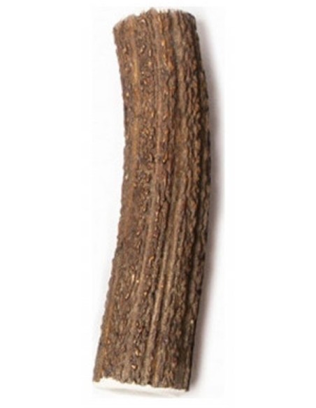 Bois de Cerf Entier Taille XL - Friandises et hygiène dentaire chiens