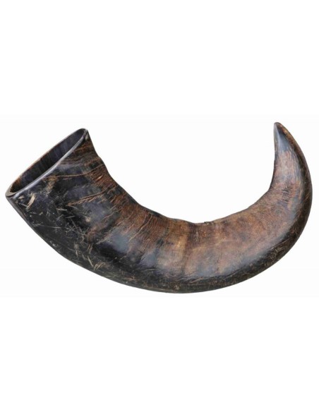Corne de Buffle à macher Taille L