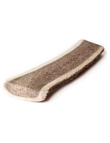 Bois de Cerf Tranché Taille M - Friandises et hygiène dentaire chiens