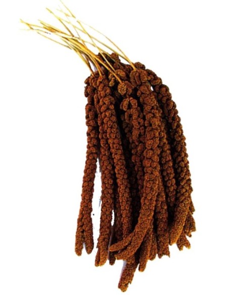 MILLET GRAPPE ROUGE 150gr Moreau