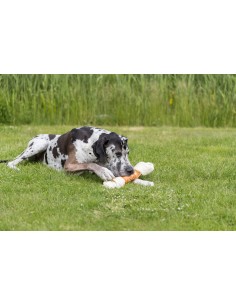 Denta Fun Mega OS Poulet - 40cm 500gr 2