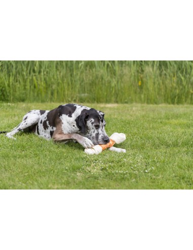 Denta Fun Mega OS Poulet - 40cm 500gr