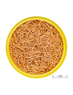 JBL Pronovo Red Insect Stick 100ml 2
