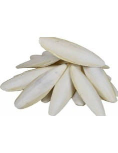 Os de Seiche par 7pcs 2