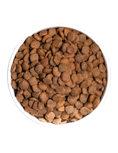 OWNAT - Chien Just GF Adult Canard - 3kg