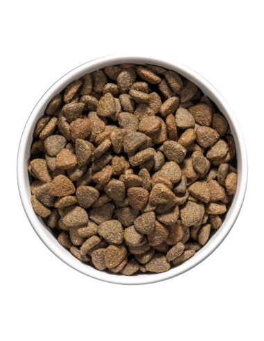 OWNAT - Chien Care Mobility - 3kg