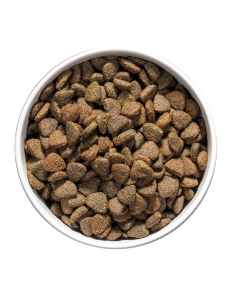 OWNAT - Chien Care Mobility - 3kg