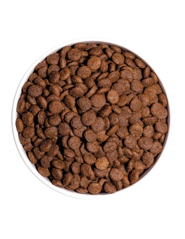 OWNAT - Chien Classic Mini Adult - 4kg