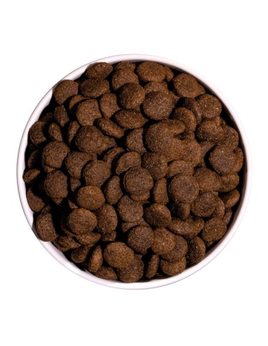 OWNAT - Chien Classic Canard - 4kg