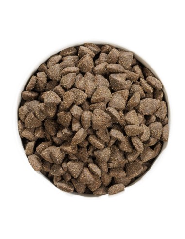 Ownat Chien GF Prime Adult Agneau 12kg