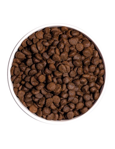 Ownat Chien GF Prime Mini Poulet et Dinde