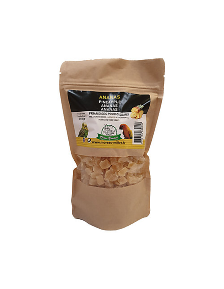 Friandise Ananas Oiseau 200gr