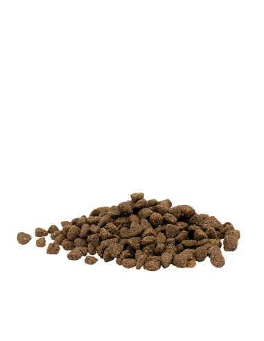 Optilife Cat Senior 2,5kg