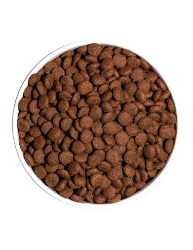 Ownat Chien Classic Junior 12kg