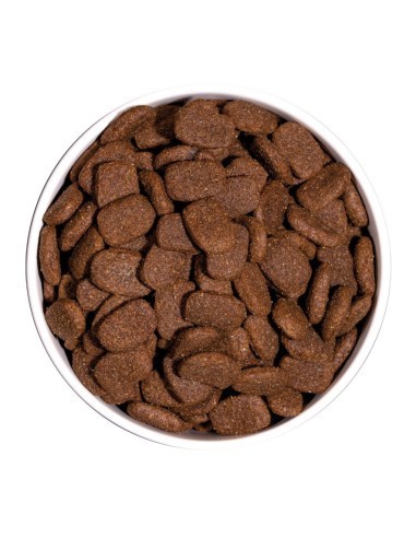 Ownat Chien Classic Complet 20kg