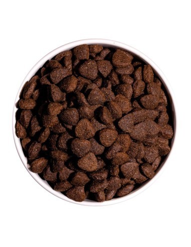 Ownat Chien Classic Agneau 4kg