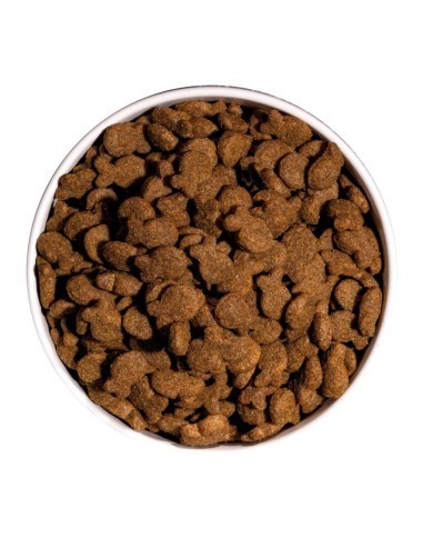 Ownat Chien Classic Fish 12kg