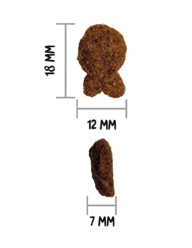 Ownat Chien Classic Fish 12kg