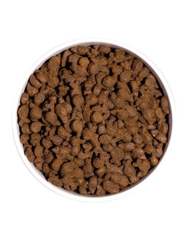 Ownat Chien Just GF Truite 3kg