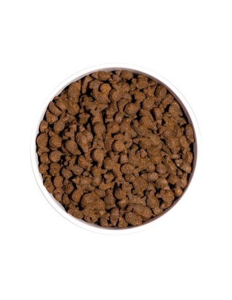 Ownat Chien Just GF Truite 3kg