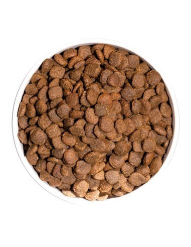 Ownat Chien Just GF Adult Canard 14kg