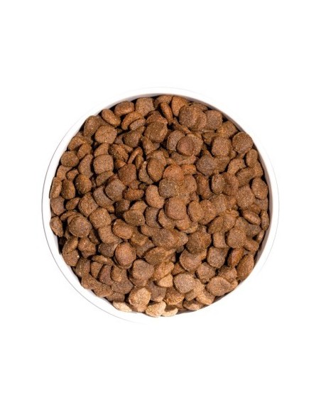 Ownat Chien Just GF Adult Canard 14kg