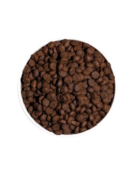 Ownat Chien GF Prime Mini Agneau 1kg