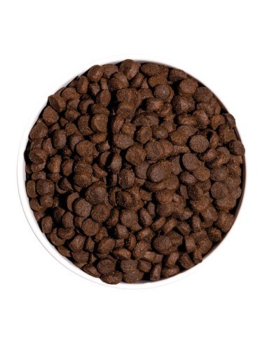 Ownat Chien GF Prime Mini Agneau 3kg