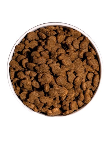 Ownat Chien Classic Fish 4kg