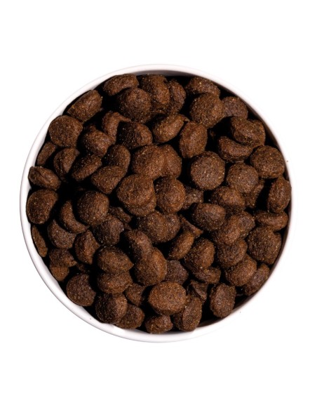 Ownat Chien Classic Energy 12kg