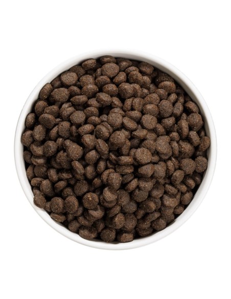 Ownat Chien Just GF Junior 3kg