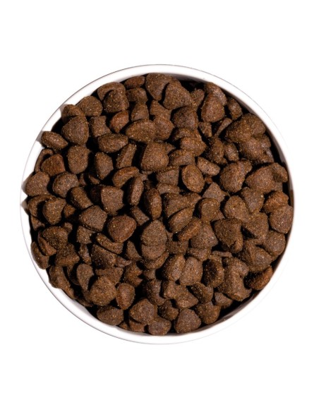 Ownat Chien Just GF Adult Poulet 14kg