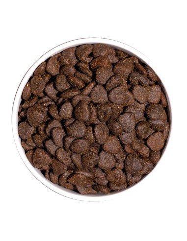 Ownat Chien Just GF Adult Agneau 14kg