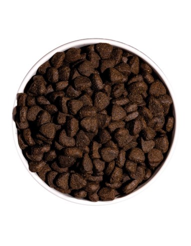 Ownat Chien Just GF Saumon/Poisson Mer 3kg