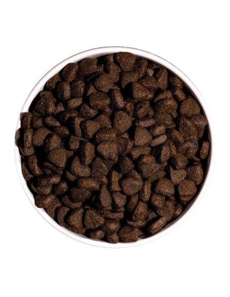 Ownat Chien Just GF Saumon/Poisson Mer 14kg