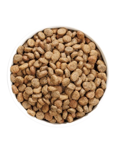 Ownat Chien GF Hypo Mini Agneau 3kg