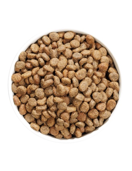 Ownat Chien GF Hypo Mini Agneau 3kg