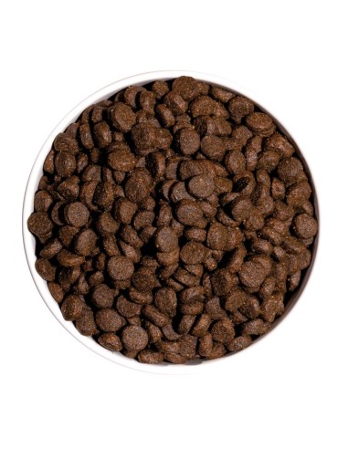 Ownat Chien GF Prime Junior Poulet/Dinde 3kg