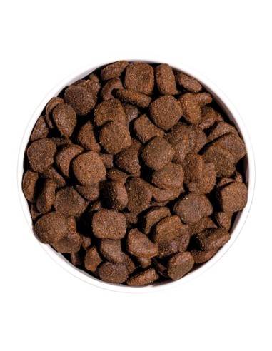 Ownat Chien GF Prime Adult Poulet/Dinde 12kg