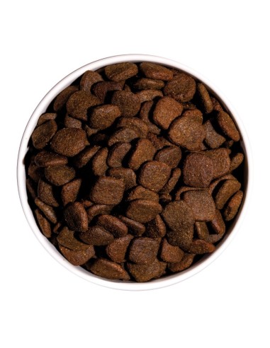 Ownat Chien GF HYPO Saumon 3kg